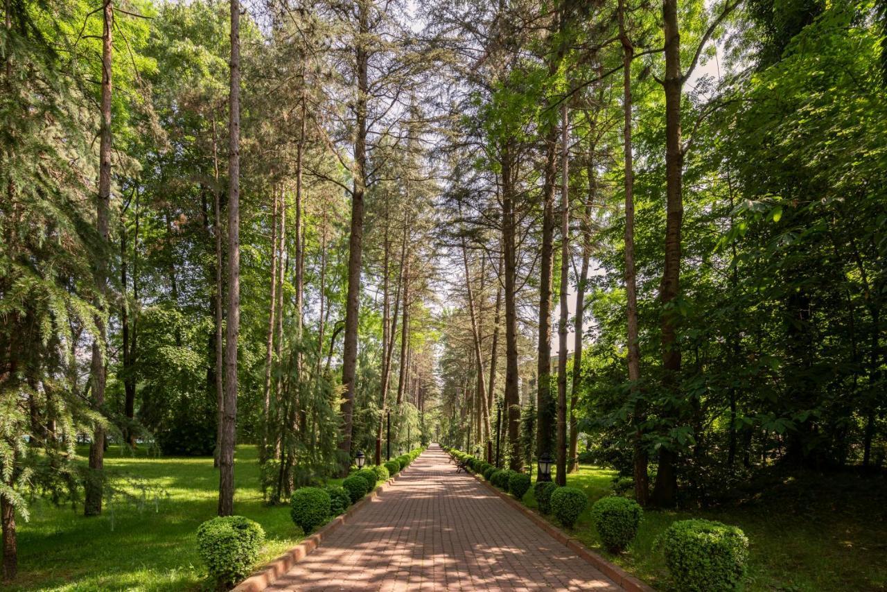 Ng Sapanca Wellness & Convention Exterior foto